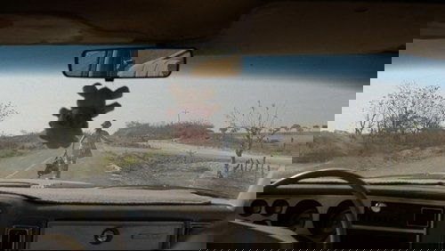 Y Tu Mamá También | And Your Mother Too - Vào Đời - Hình 3