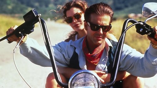 Wild Orchid - Hoa Lan Dại - Hình 2