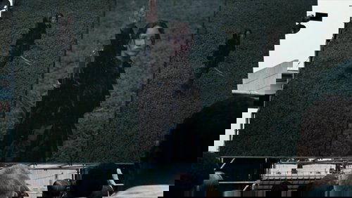 The Hunger Games - Đấu Trường Sinh Tử - Hình 3