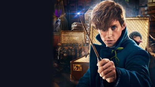 Fantastic Beasts And Where To Find Them - Sinh Vật Huyền Bí Và Nơi Tìm Ra Chúng - Hình 5