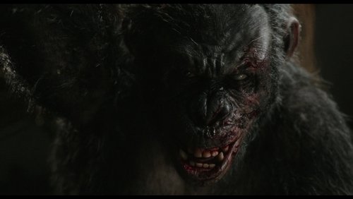 Dawn of the Planet of the Apes - Sự Khởi Đầu Của Hành Tinh Khỉ - Hình 3