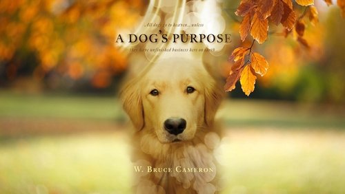 A Dog's Purpose - Mục Đích Sống Của Một Chú Chó - Hình 3