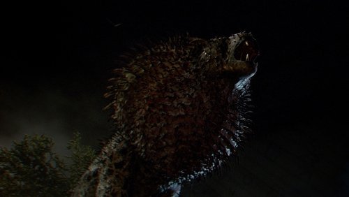 Fantastic Beasts And Where To Find Them - Sinh Vật Huyền Bí Và Nơi Tìm Ra Chúng - Hình 4
