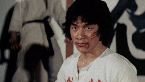 New Fist Of Fury - Tân Tinh Võ Môn - Hình 2