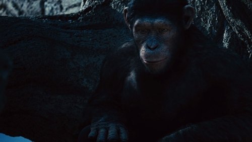 Rise of the Planet of the Apes - Sự Trỗi Dậy Của Hành Tinh Khỉ - Hình 2