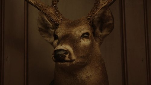 Get Out - Trốn Thoát - Hình 1