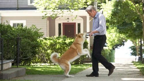 Hachi: A Dog's Tale - Hachiko Chú Chó Trung Thành - Hình 1