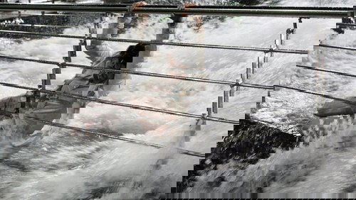 The Tower - Tháp Lửa - Hình 2