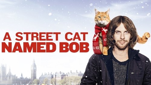 A Street Cat Named Bob - Chú Mèo Đường Phố Tên Bob - Hình 1