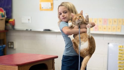 Gifted - Cô Bé Thần Đồng - Hình 2