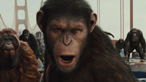 Rise of the Planet of the Apes - Sự Trỗi Dậy Của Hành Tinh Khỉ - Hình 1