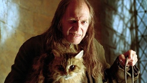 Harry Potter And The Goblet Of Fire - Harry Potter Và Chiếc Cốc Lửa - Hình 1