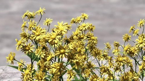 Final Fantasy VII: Advent Children - Final Fantasy VII: Hành Trình Của Những Đứa Trẻ - Hình 6