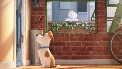The Secret Life of Pets - Đẳng Cấp Thú Cưng - Hình 5