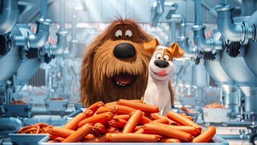The Secret Life of Pets - Đẳng Cấp Thú Cưng - Hình 3