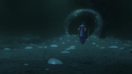 Finding Dory - Đi Tìm Dory - Hình 2