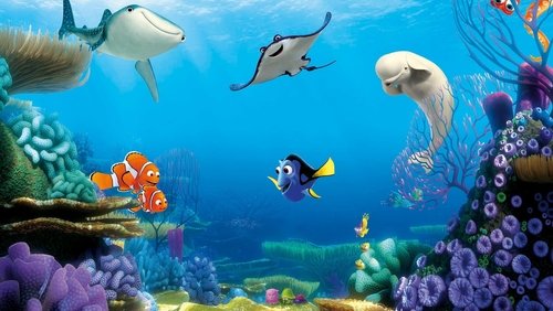 Finding Dory - Đi Tìm Dory - Hình 4