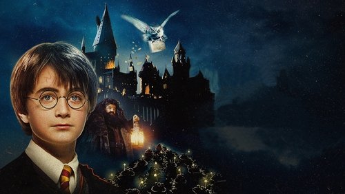Harry Potter And The Sorcerer's Stone - Harry Potter Và Hòn Đá Phù thủy - Hình 1