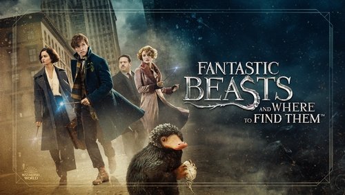 Fantastic Beasts And Where To Find Them - Sinh Vật Huyền Bí Và Nơi Tìm Ra Chúng - Hình 1