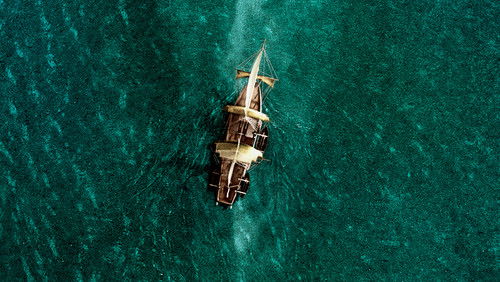 In the Heart of the Sea - Biển Sâu Dậy Sóng - Hình 2