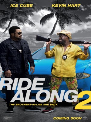 Bộ Đôi Cảnh Sát 2 (2016)