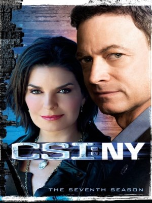 CSI: New York (Mùa 7) (2010)